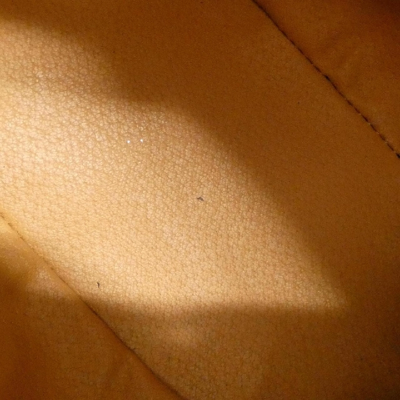 Celine Bag - Hàng hiệu Authentic 804578