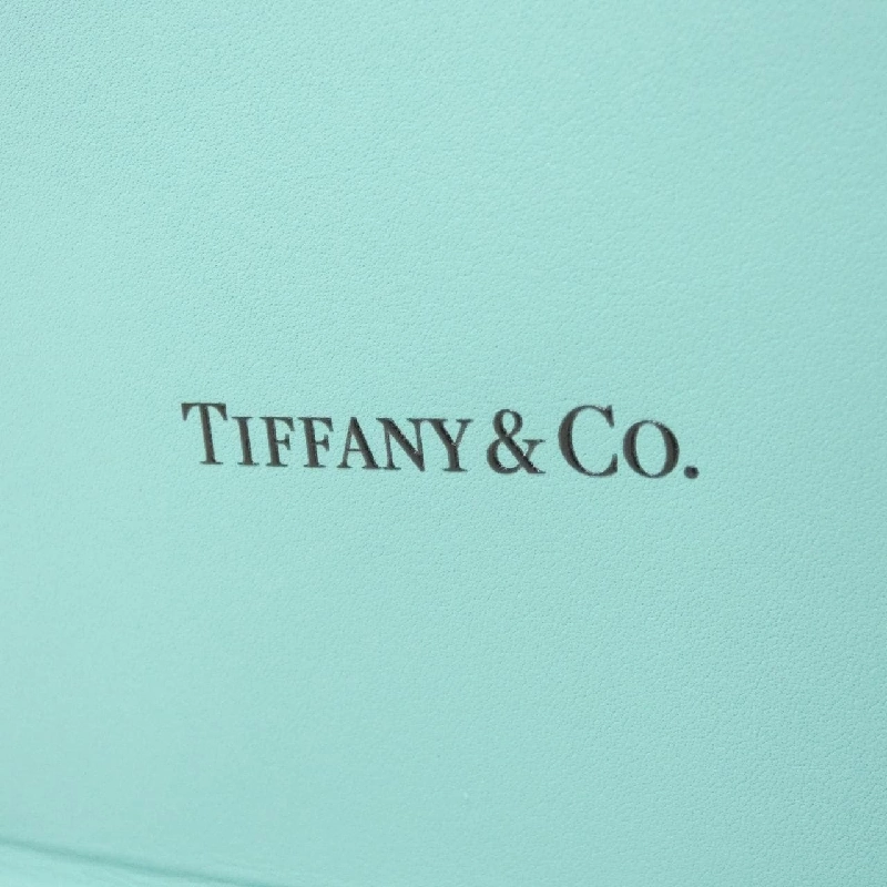 Túi Tiffany - Hàng hiệu Authentic 804831