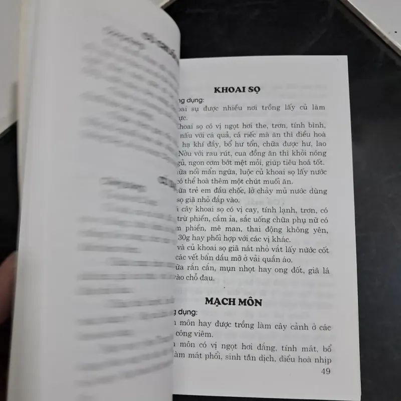 Chữa bệnh bằng cây lá quanh ta 995316