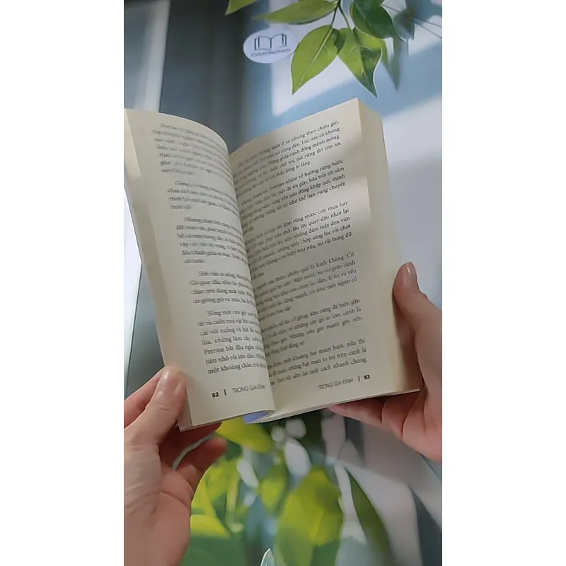 Trong gia đình - Hector Malot 607748