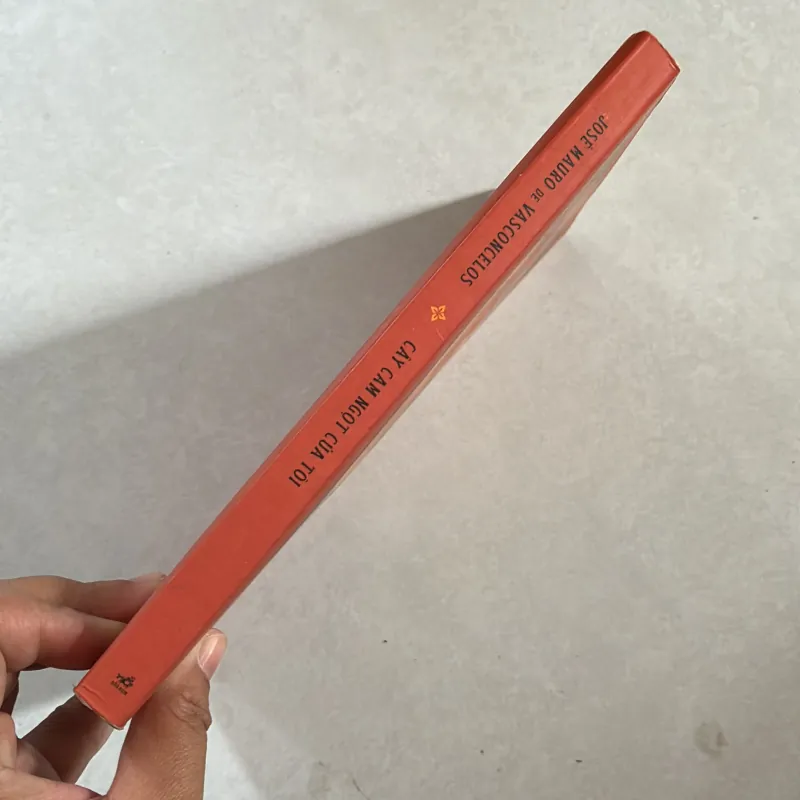 Cây cam ngọt của tôi 834979