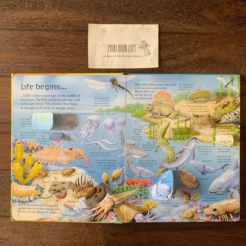 Sách ngoại văn See Inside the World of Dinosaurs, Used, Bìa cứng, Lật mở 756493