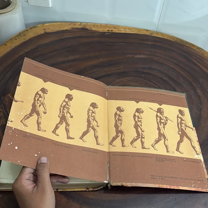 [Xem Kỹ Ảnh] - II Sách Lịch Sử: Con Người Trở Thành Khổng Lồ - 1982 1022276