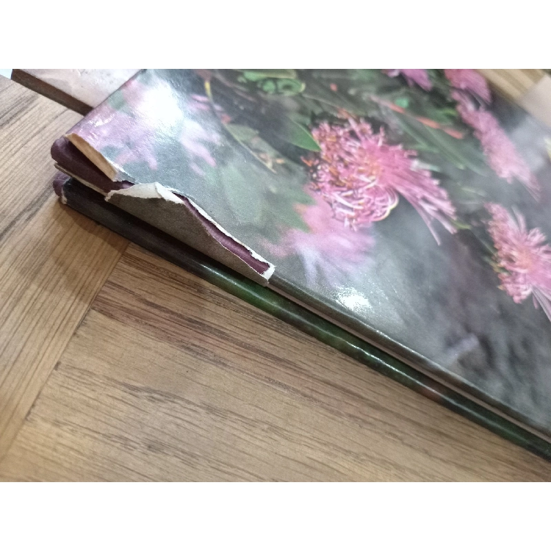 Western Australia in colour - Michael Morcombe, Osmar White 575270