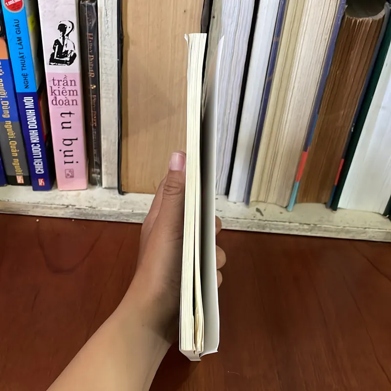 II Sách Phật Giáo: Hỏi Đáp Phật Pháp - Phật Giáo Nguyên Thuỷ THERAVADA - Sư Thanh Minh 574575