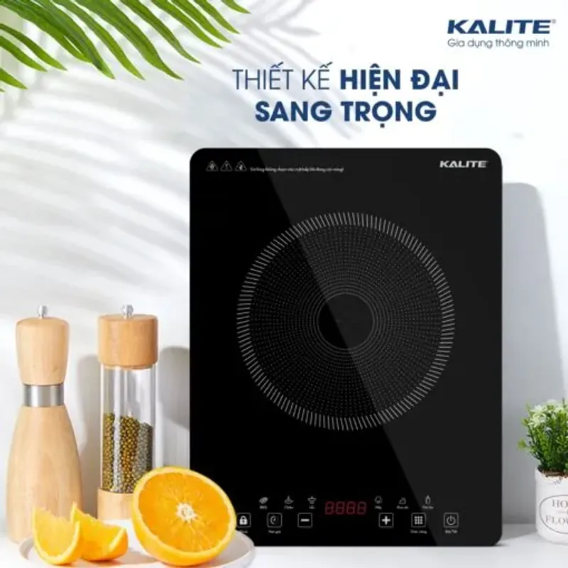 Bếp từ đơn KLI6600 795707