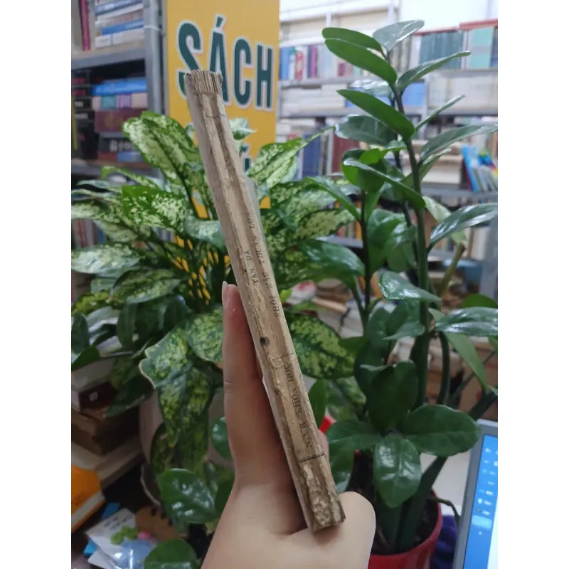 TẢN ĐÀ KHỐI MÂU THUẪN LỚN - TẦM DƯƠNG 1045508