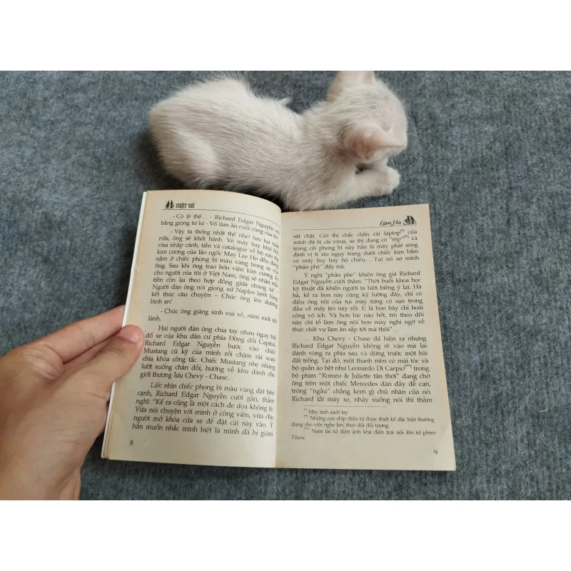 MẬT SỨ - LÂM HÀ 567801