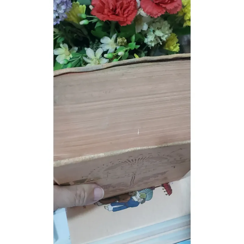 Sách Nouvau Petit Larousse Illustre - Bìa cứng, hình ảnh in nổi bật 708718