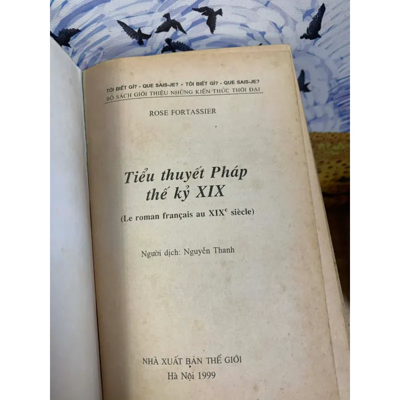 Tiểu Thuyết Pháp Thế Kỷ XIX - Rose Fortassier 927990