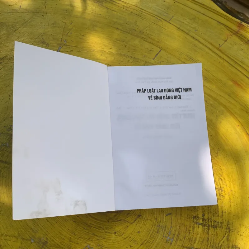  COMBO PHÁP LUẬT LAO ĐỘNG VIỆT NAM VỀ BÌNH ĐẲNG GIỚI & NỮ LÃNH ĐẠO VÀ ĐỊNH KIẾN GIỚI  788046