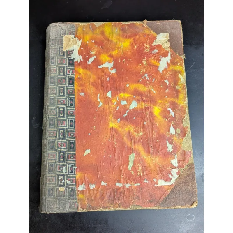 Dictionnaire vietnamien chinoiis francaise -Eugène 719146