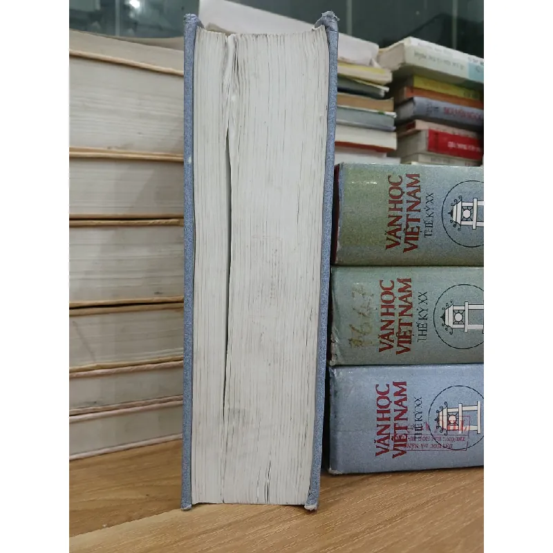 Văn học Việt Nam thế kỷ XX - Tiểu thuyết 1975-2000 - Quyển một - Tập XIV 592367