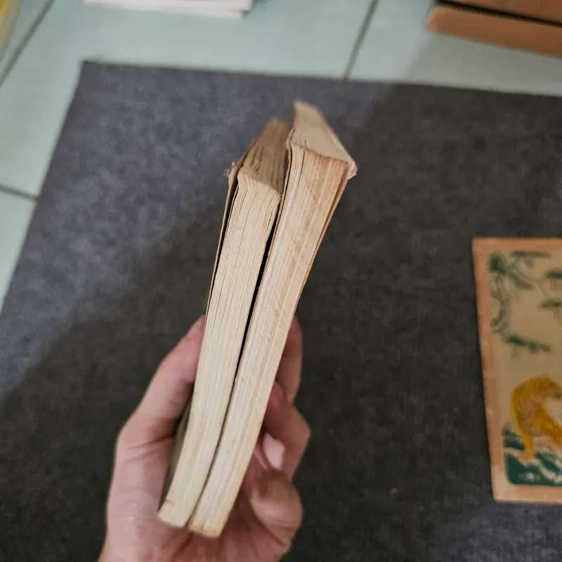 Freud đã thực sự nói gì - Jung đã thực sự nói gì - Phân tâm học 745015