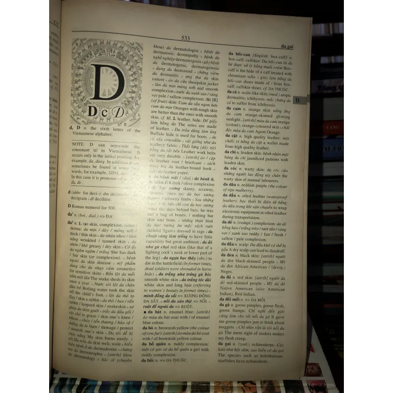 Từ điển Việt - Anh 756051