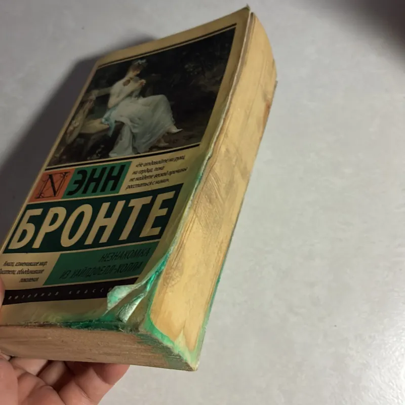 Người tá điền đồi Wildfell - Anne Bronte ( Tiếng Nga) 734517