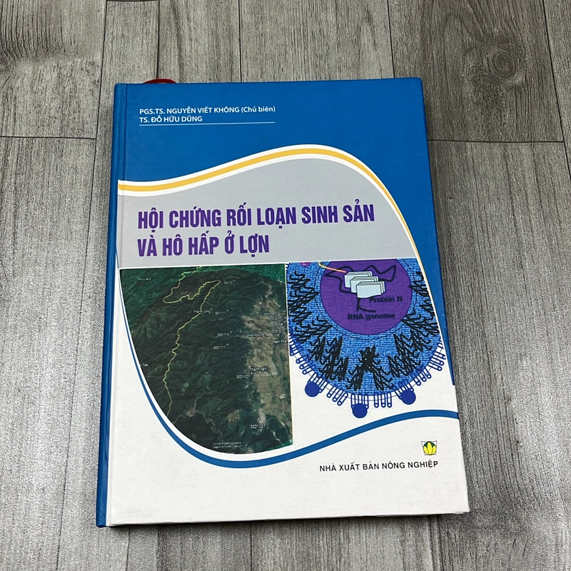 Hối chứng rối loạn sinh sản và hô hấp ở lợn. 8a2 539069