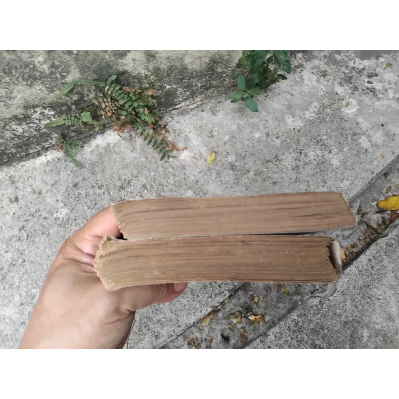Sống và chết ở Thượng Hải tiểu thuyết của Trịnh Niệm  1019193