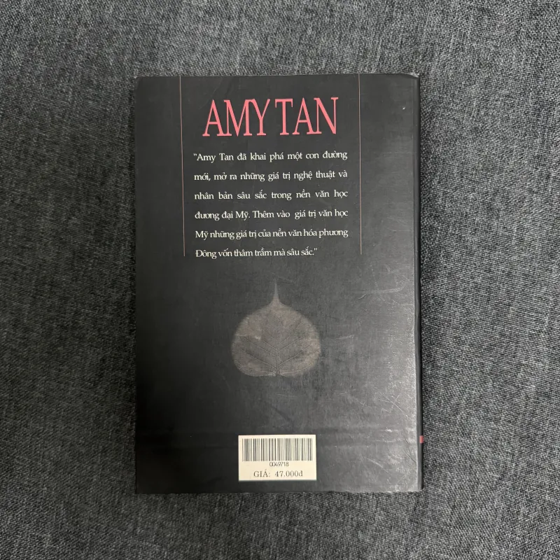Con gái thầy lang - Amy Tan (Tần Ái Mỹ) 931359