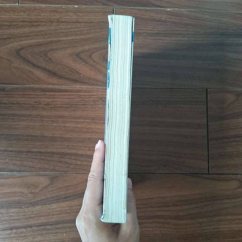 Bình hoa - khốn ỷ nguy lâu 508561