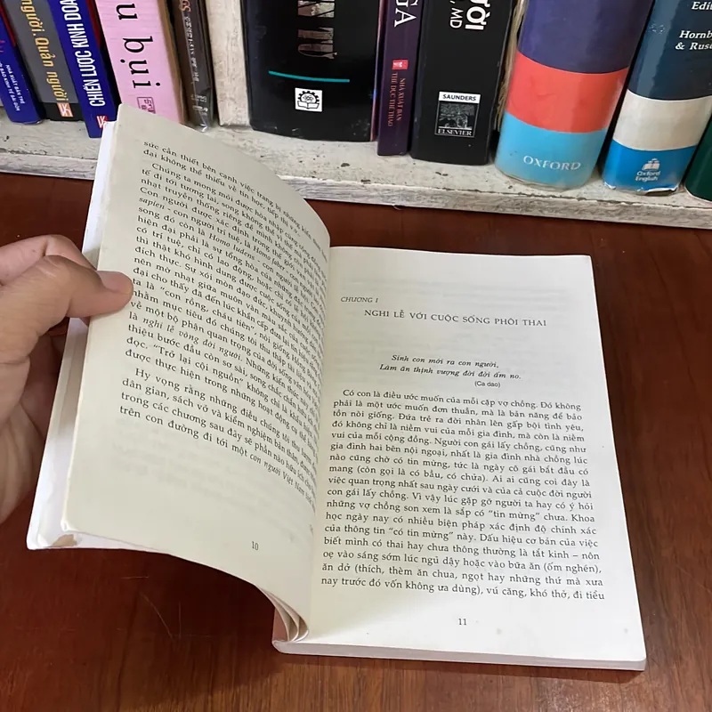 II Tựa sách: Nghi Lễ Vòng Đời Người - Nhiều Tác Giả - 2007 561441