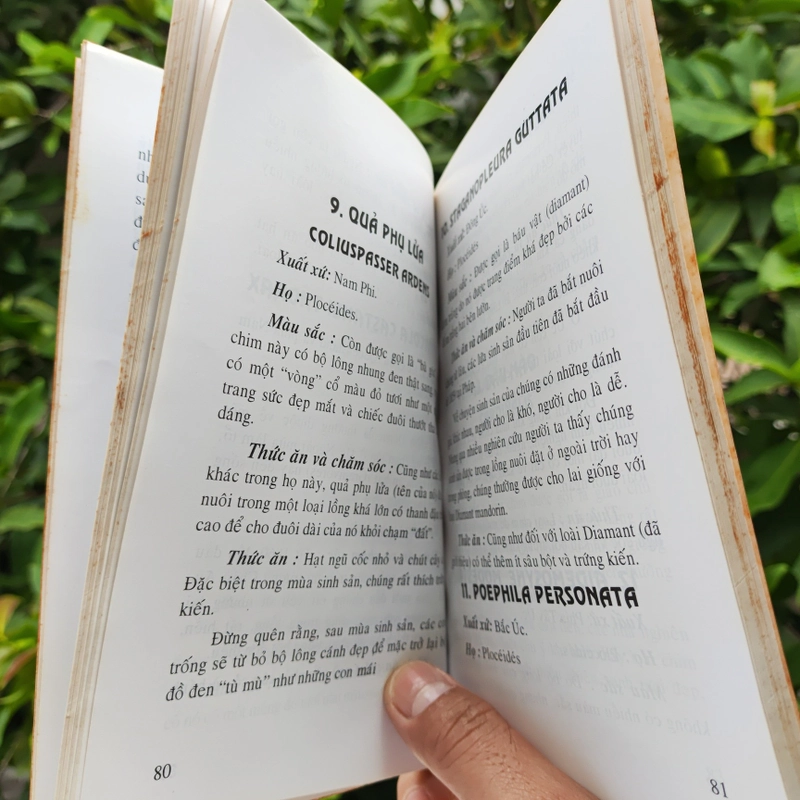 Kỹ Thuật Nuôi Dạy Các Loài Chim - Lê Thanh - Nhã Uyên 532118