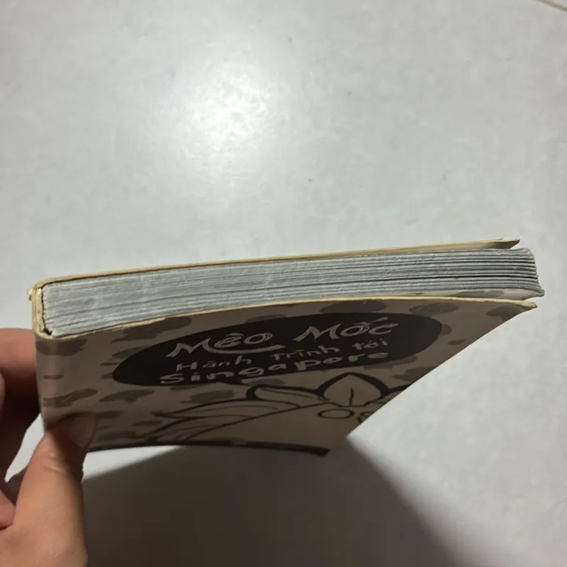 Mèo mốc: Hành trình tới Singapore 758143