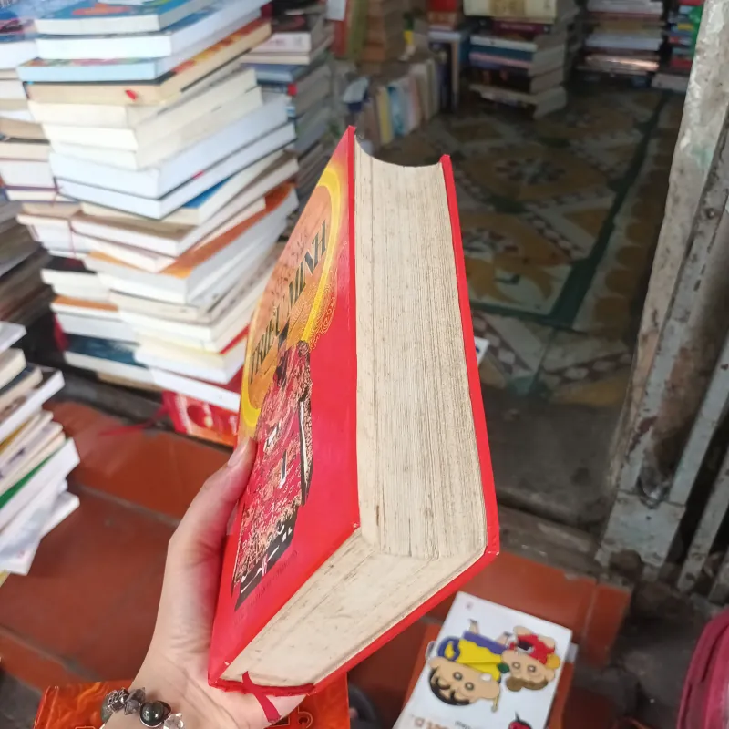 Mười Sáu Hoàng Đế Triều Minh- Vương Thiên Hữu 1025665