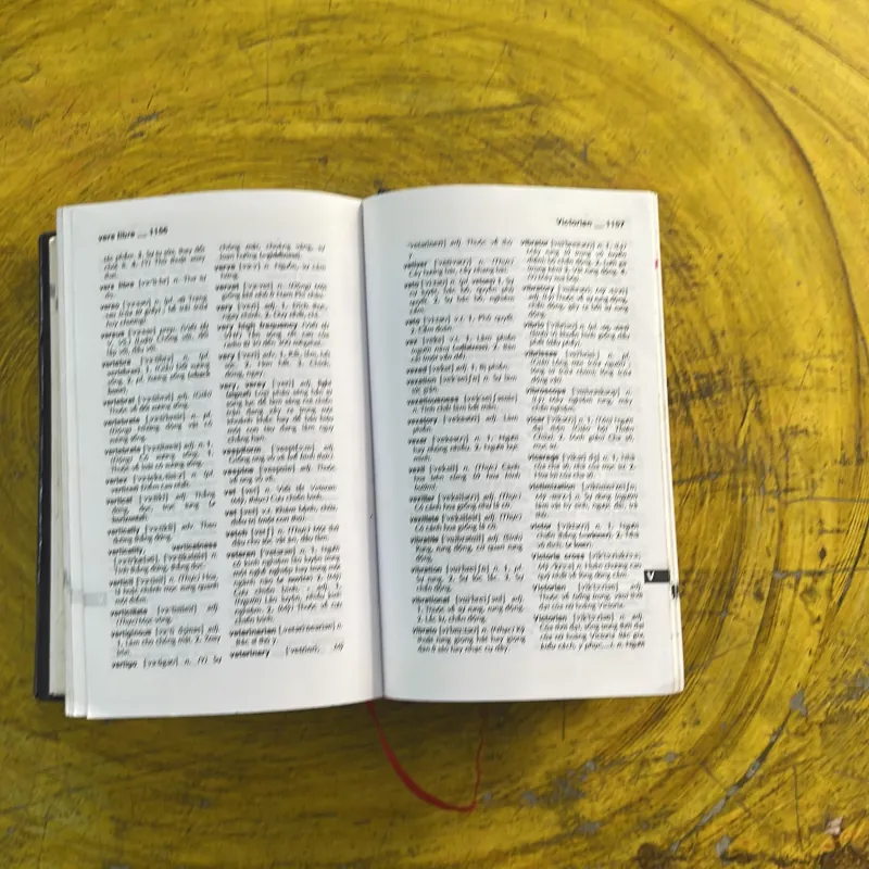 COMBO OXFORD SCHOOL DICTIONARY & TỪ ĐIỂN ANH VIỆT 973655