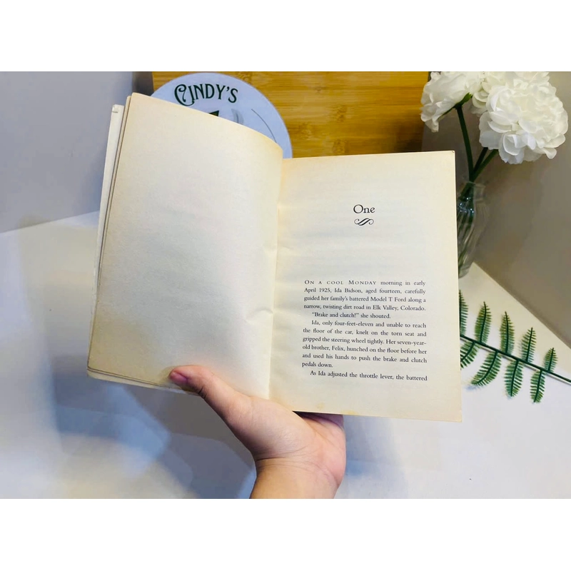 [Sách 2hand US] Like new 90% -  The secret school 466671