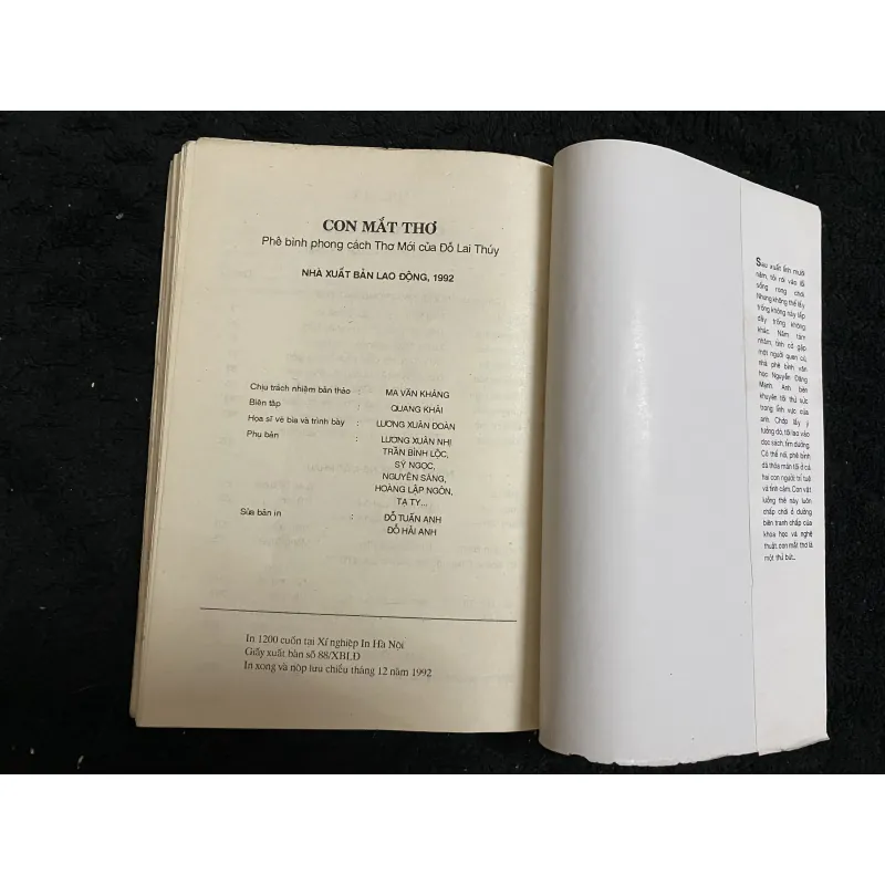 Con mắt thơ- Đỗ Lại Thúy 1009688