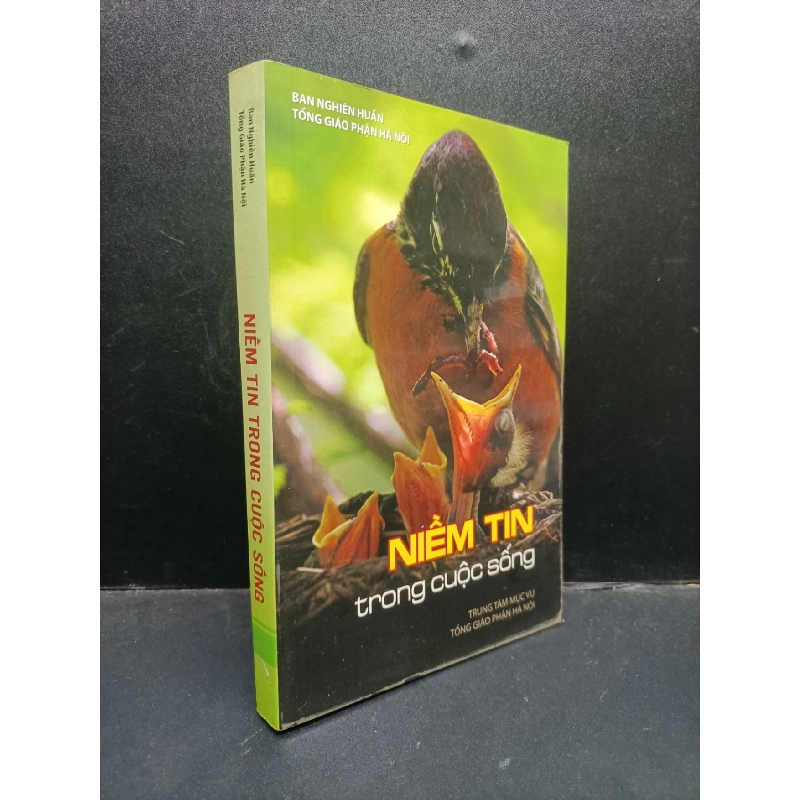 Niềm tin trong cuộc sống mới 80% bẩn nhẹ HCM1504 tôn giáo, triết lý 914180