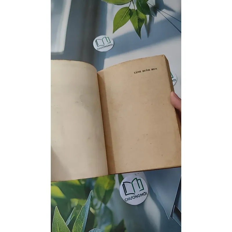 [MIỄN PHÍ BỌC SÁCH] [XƯA] Cánh Buồm Đen (1990) - Lê Minh Hoàng Thái Sơn 997592