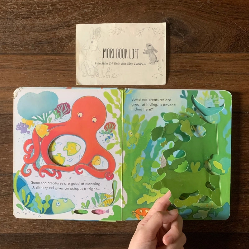 Sách ngoại văn Peep Inside The Sea - M.ấ.t Flap trang 1,3, miếng lật cũ, Used 540734