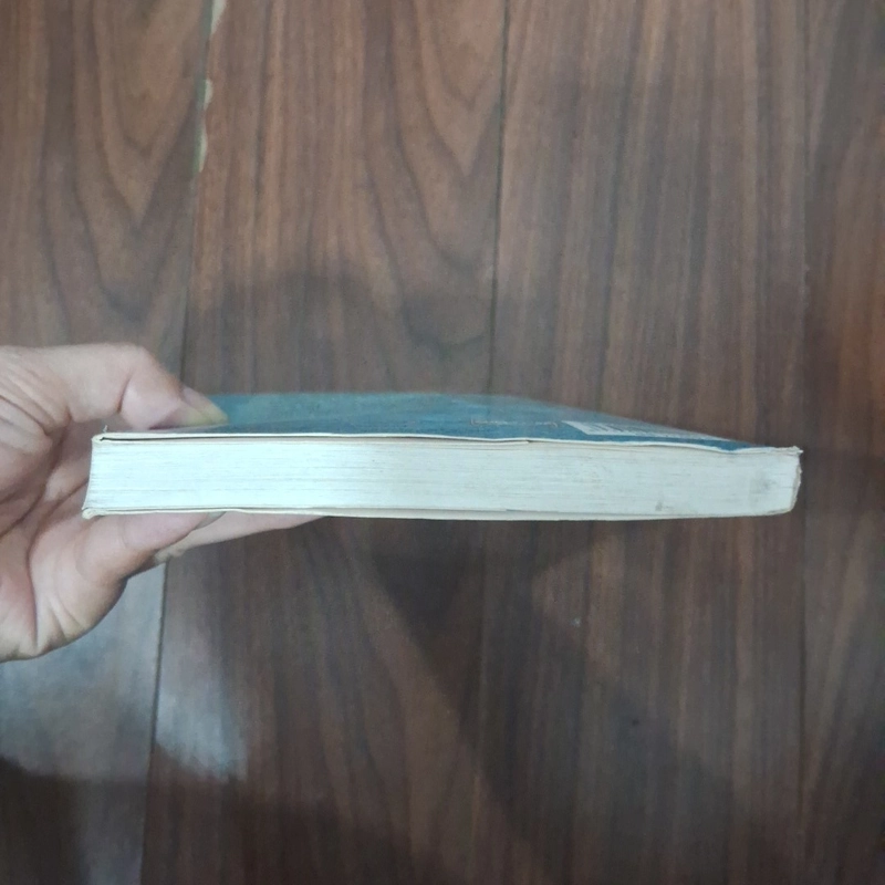 Nhật kí á thần 505606