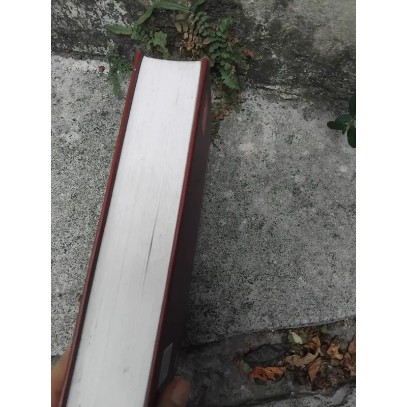 Tiến trình văn hóa Việt Nam từ khởi thủy đến thế kỷ XIX 1020969