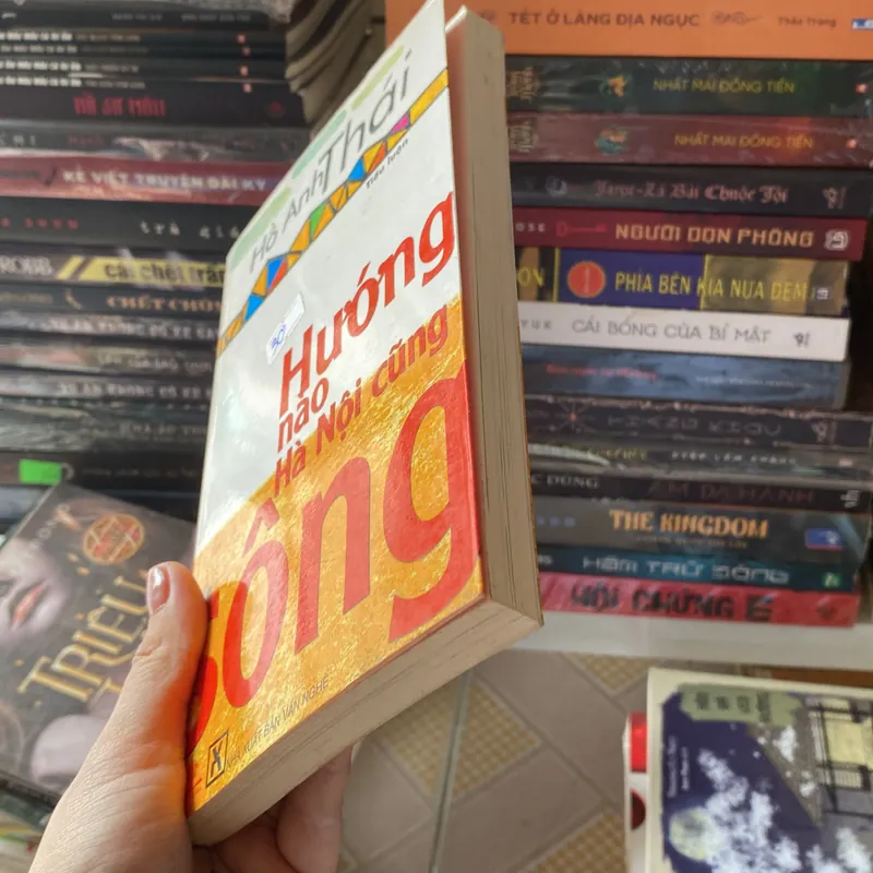 Hướng nào Hà Nội cũng sông Hồ Anh Thái  728043