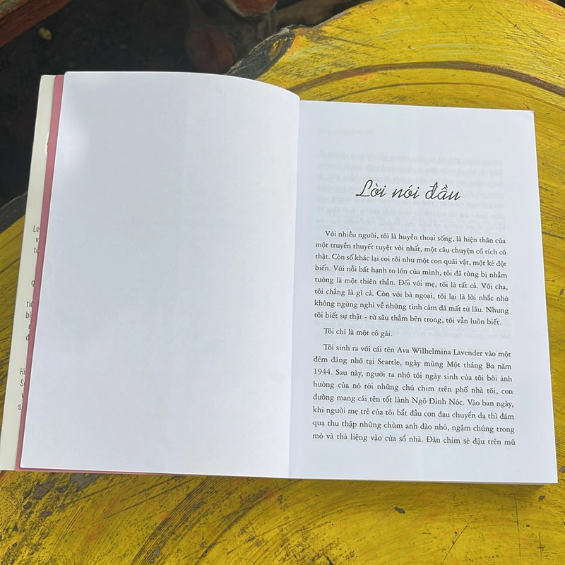 Đôi cánh bị lãng quên 470997