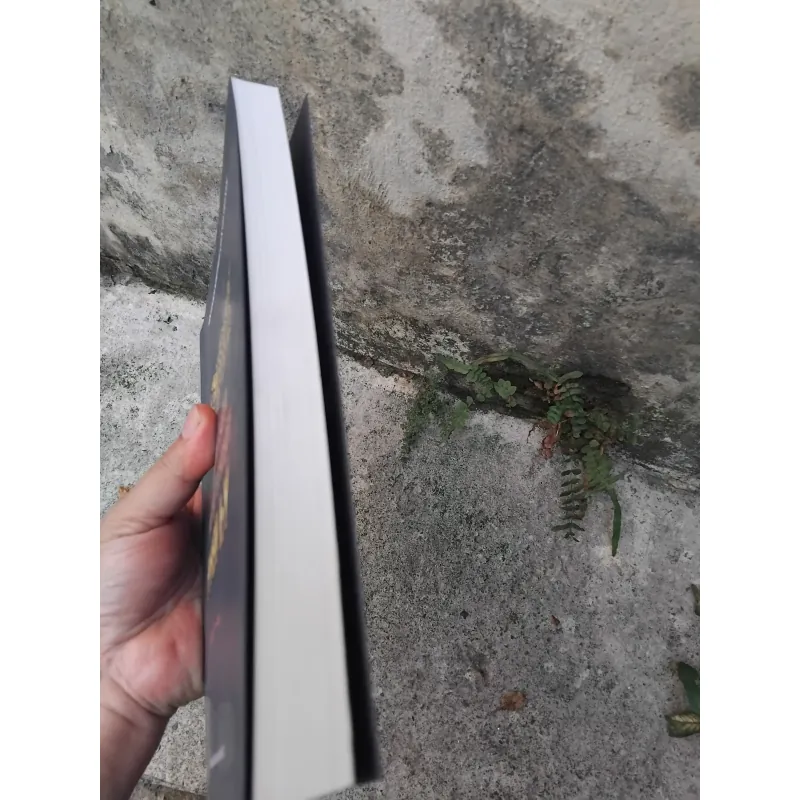 Văn hóa nghệ thuật thời Lý  1037883