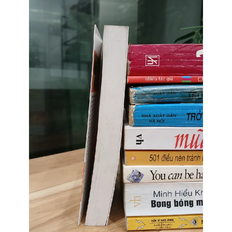 Làm Lành Với Hôn Nhân – Elizabeth Gilbert 530589