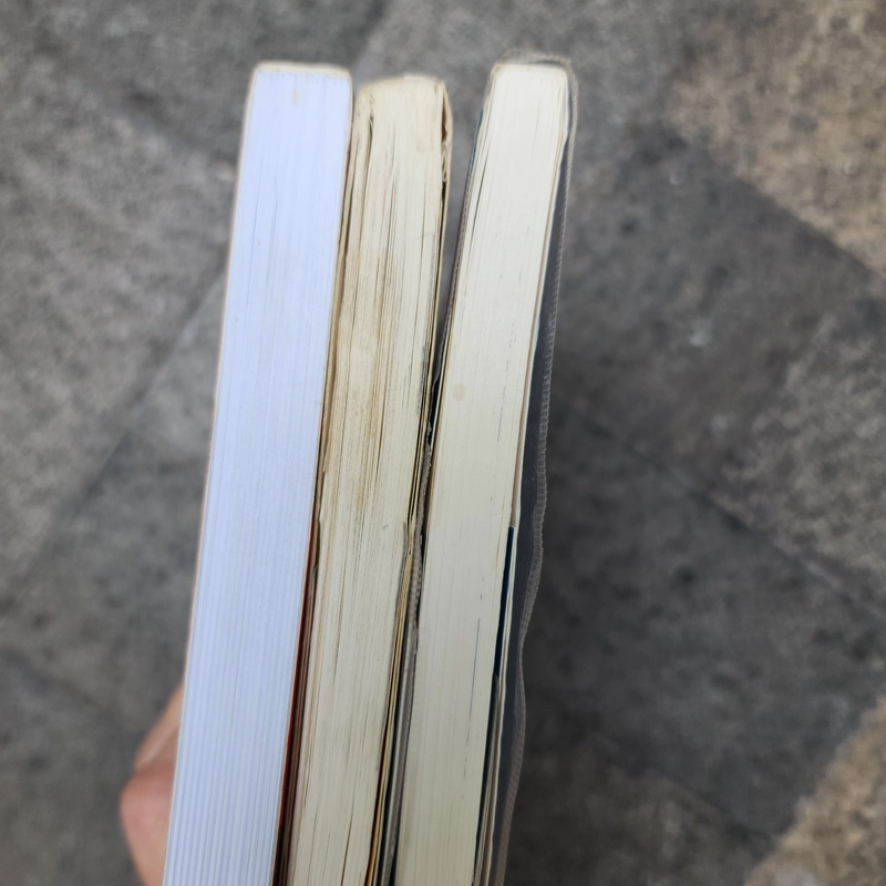 Combo 3 quyển Charlie và nhà máy socola của Roald Dahl 534480
