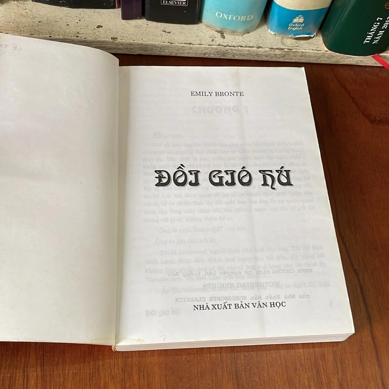 II Tác Phẩm Kinh Điển: Đồi Gió Hú - Emily Bronti - Mạnh Chương (Dịch) - 2012 541268