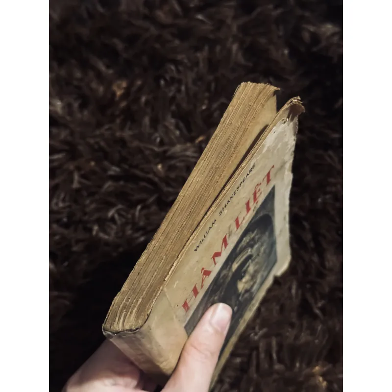 Hâm Liệt - Shakespeare (đọc mô tả) 746221