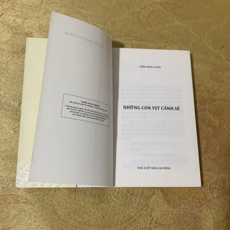 NHỮNG CON VỊT CÁNH SẺ - TRẦN HỒNG GIANG 751721