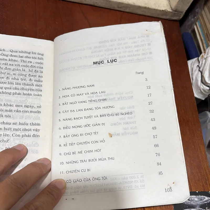 II Sách Thiếu Nhi: Nắng Phương Nam - Trần Hoài Dương - 1998 722491