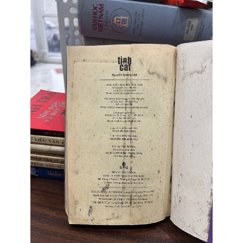 Tình Cát - Nguyễn Quang Lập - Nguyễn Quang Lập 1005808