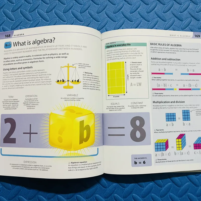 Help Your Kids With Maths – A Unique Step-by-Step Visual Guide (DK)  785234