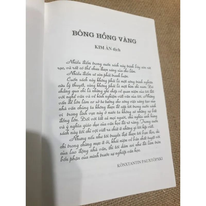 Bông Hồng vàng & Bình minh mưa  973482