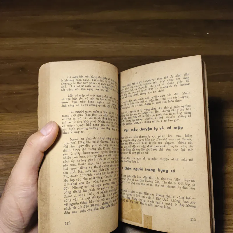 Các Con Vật Trên Rừng Dưới Biển - Đoàn Giỏi 1022201