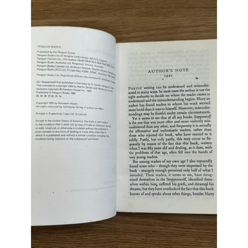 Steppenwolf - Hermann Hesse 785177
